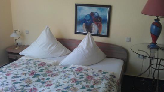 Hotel Dorothea Christiane Erxleben 3