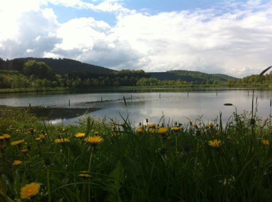 Hotel Cramer Sauerland 4