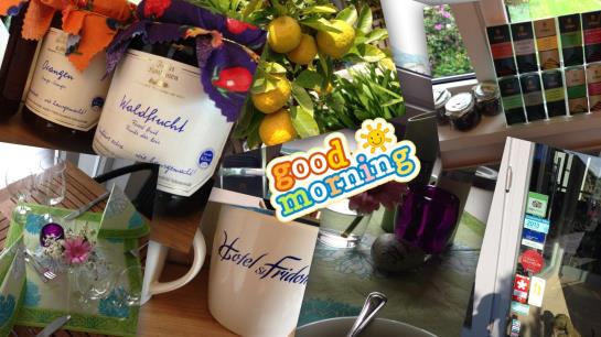 Hotel St. Fridolin 13