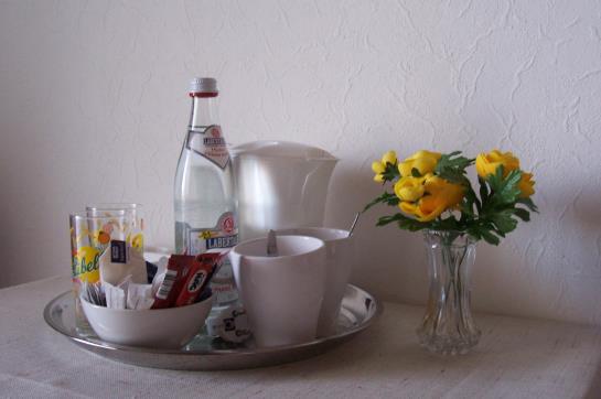 Hotel Gästehaus Am Berg 9