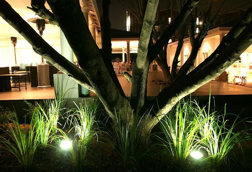 Hotel Aviator Or Tambo International 3