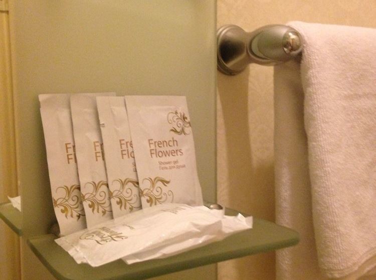 Hotel Rinaldi At Nevsky 105 10