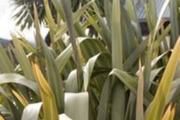 Hotel Marlborough Vintners 3