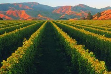 Hotel Marlborough Vintners 9