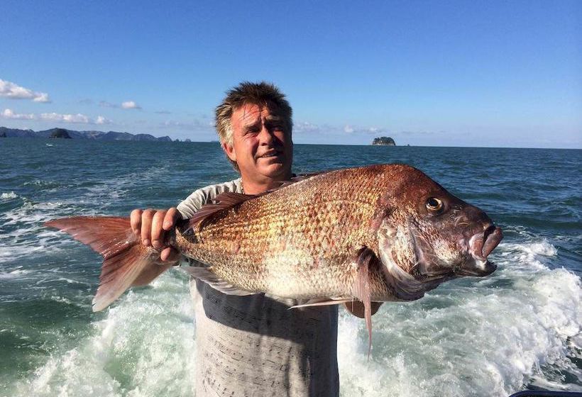 Marina Park Apartments 1