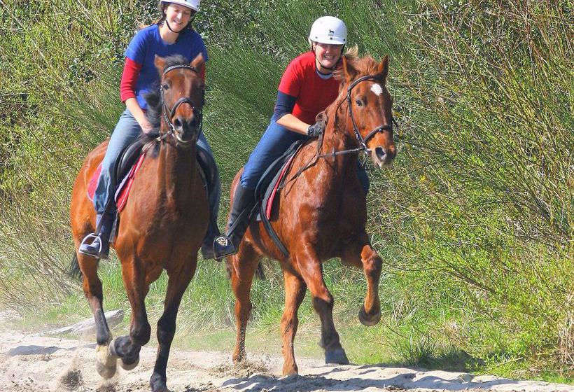 Hotel Birds Ferry Lodge 1