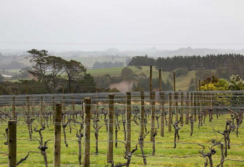 Hotel Takatu Lodge & Vineyard 18