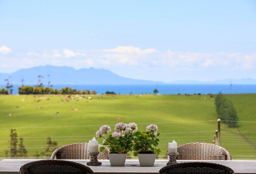 Hotel Takatu Lodge & Vineyard 4