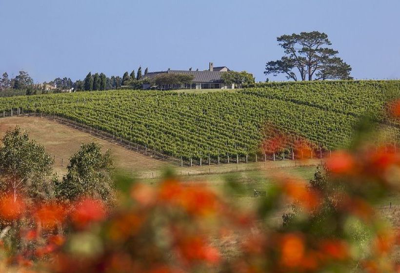 Hotel Takatu Lodge & Vineyard 6