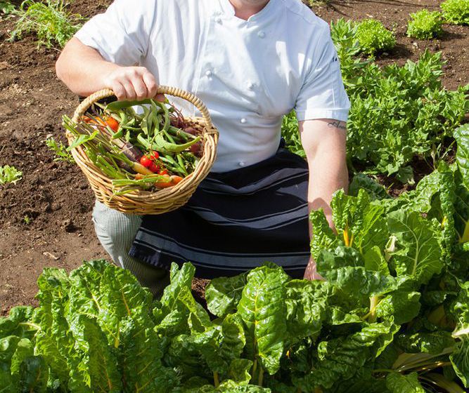 Hotel Fiordland Lodge Te Anau South Island