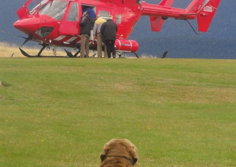 Hotel Fiordland Lodge 15