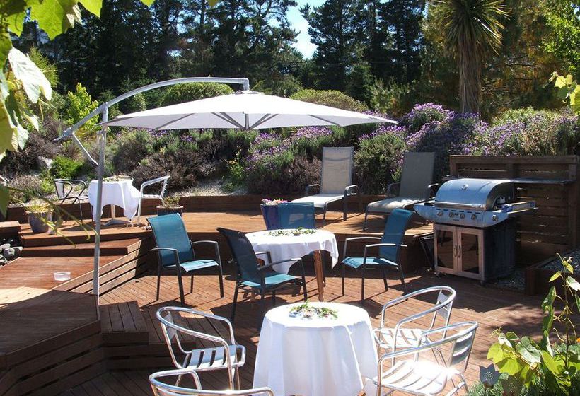 Hotel Vibrant Living Retreat 11