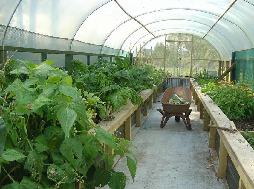 Hotel Awatuna Homestead 10