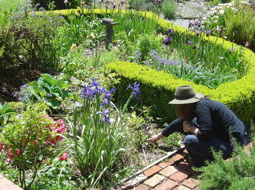 Hotel Awatuna Homestead 2