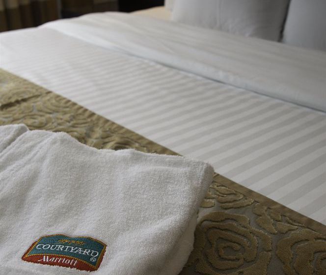 Hotel Courtyard St. Petersburg Center West Pushkin 20