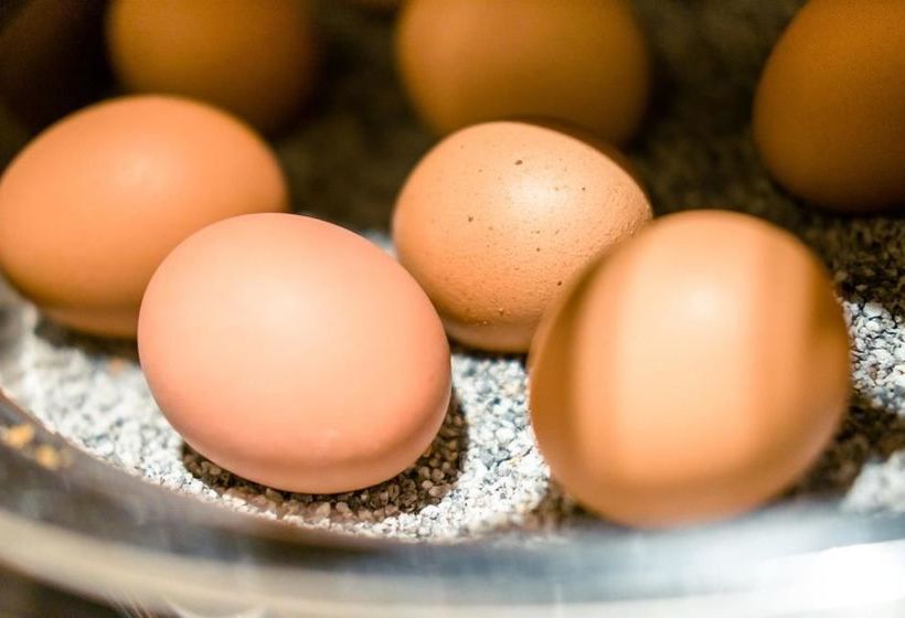 Motel Premiere Classe Schweinfurt 17