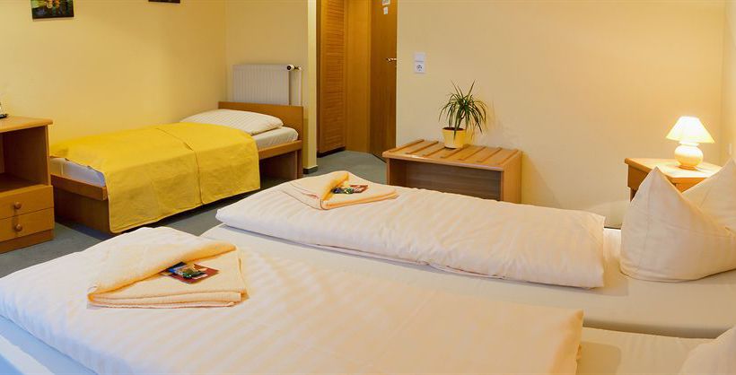 Center Hotel Zwickau Mosel 13