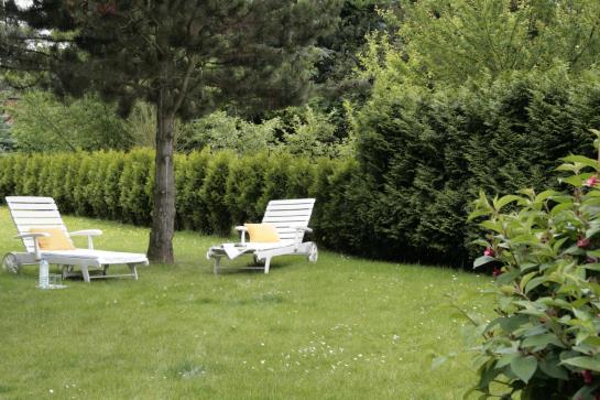 City Partner Hotel Villa Verde 7