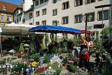 Best Western Hotel Schwieberdingen 6