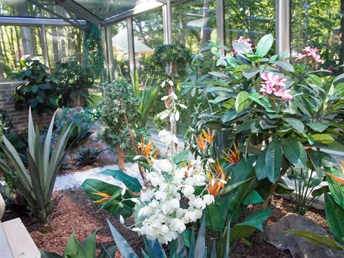 Hotel Cronwell Resort Falke 10