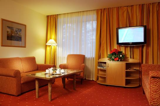 Hotel Skandinavia Country Club & Spa 10