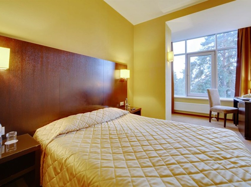 Repino Cronwell Park Hotel 20