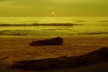 Hotel Sai Ngam Beach Resort 10