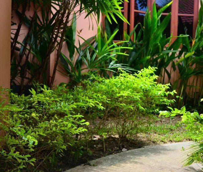 Resort The Happy Elephant 6