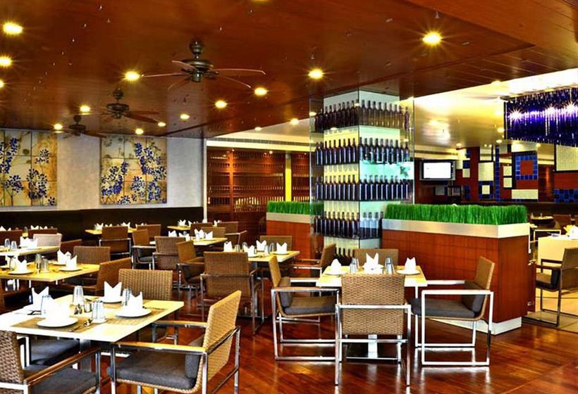 Quality Hotel DV Manor 16