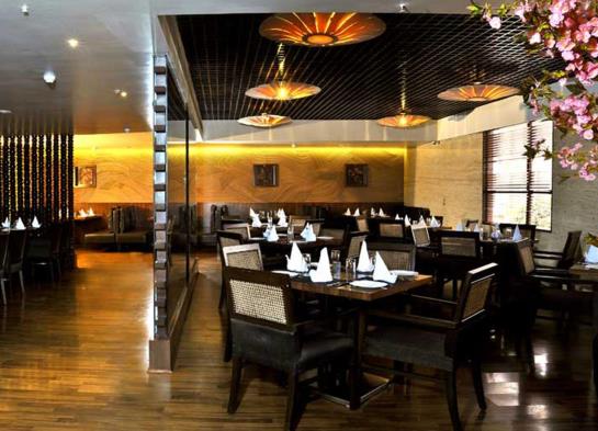 Quality Hotel DV Manor 18