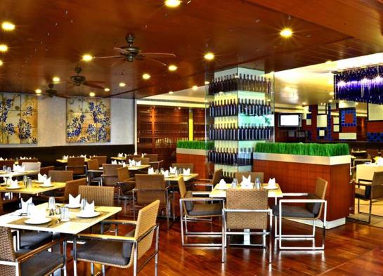 Quality Hotel DV Manor 19