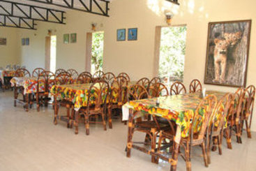 Hotel Gir Jungle Lodge 4