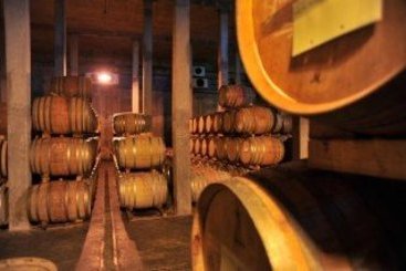 Hotel Kleine Zalze Lodge 3