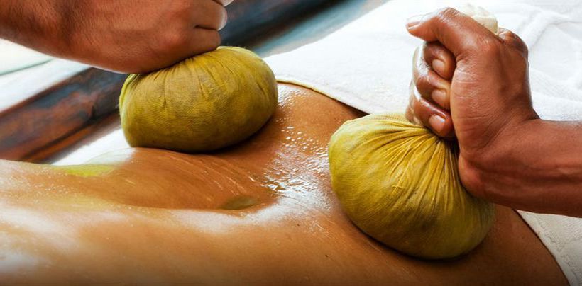 Hotel Vedic Village Spa Resort 15