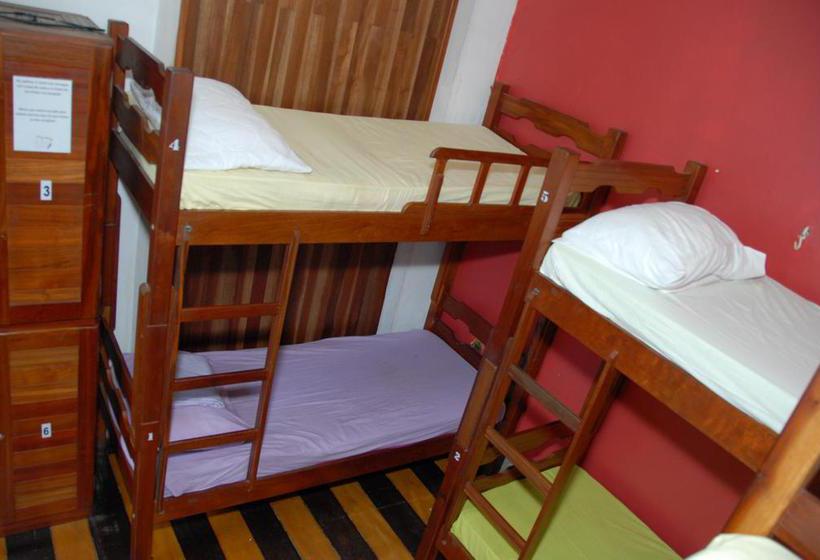 Hotel Amazônia Hostel  | Belém | Pará | Brasil 13