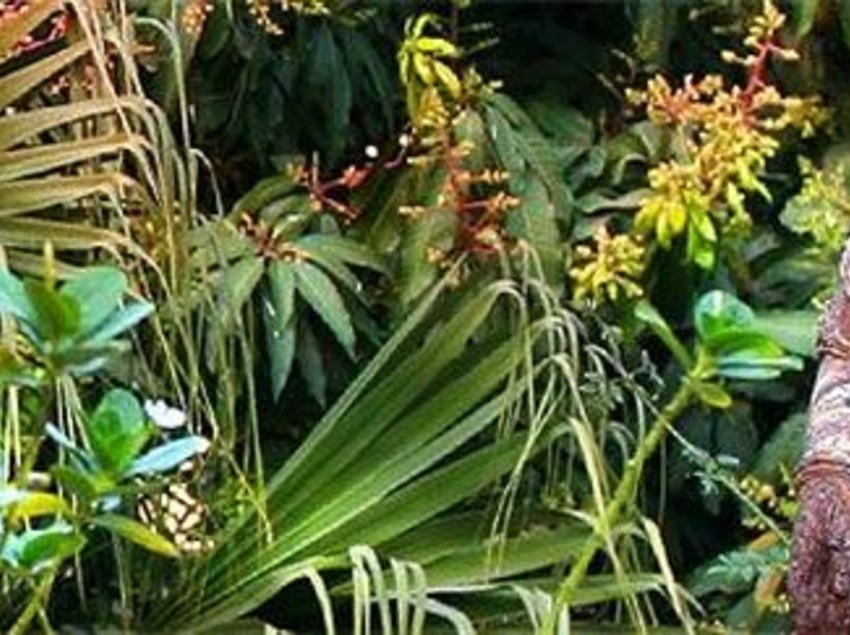 Hotel WelcomHeritage Ranjit's Svaasa 7