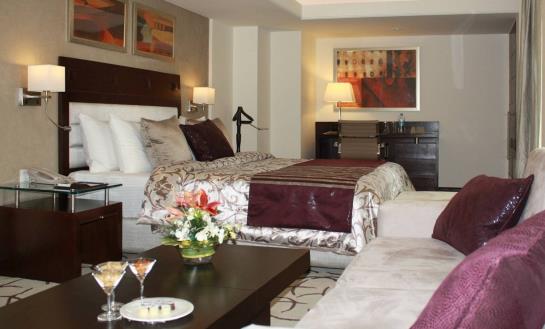 Hotel Park Plaza Ahmedabad Ellis Bridge 16