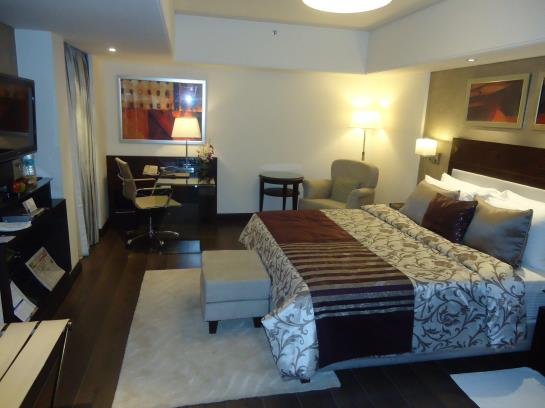 Hotel Park Plaza Ahmedabad Ellis Bridge 19