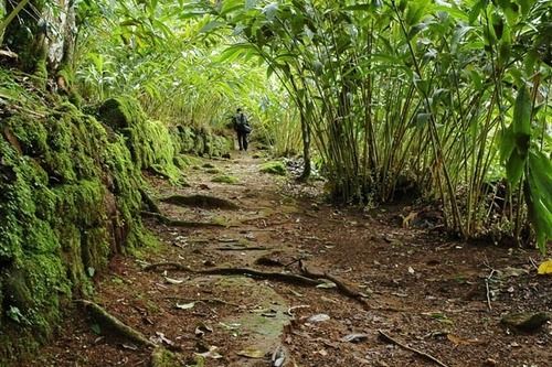 Hotel Windermere Estate 11