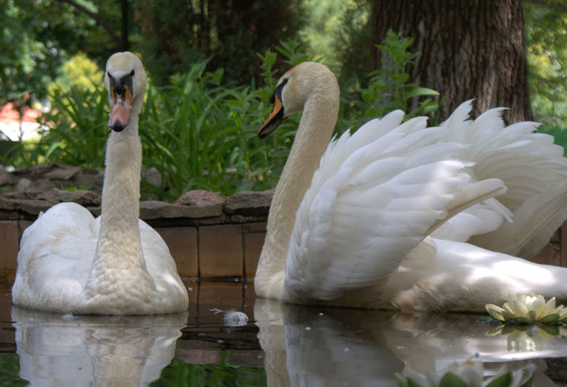 Hotel Sheremetevsky Park 6