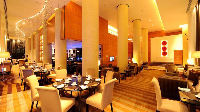 Hotel Intercontinental Johannesburg O.R.Tambo Airport 17