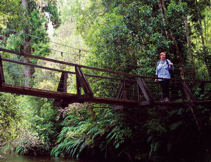 Hotel Asure Parklands Motorlodge