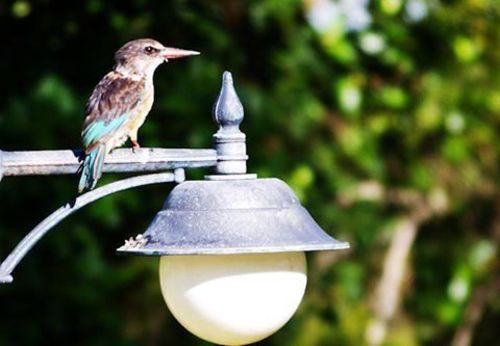 Hotel Hlangana Lodge 13