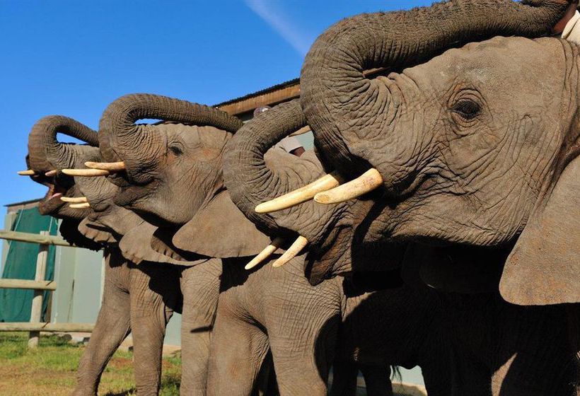 Hotel Kwantu Private Game Reserve 6