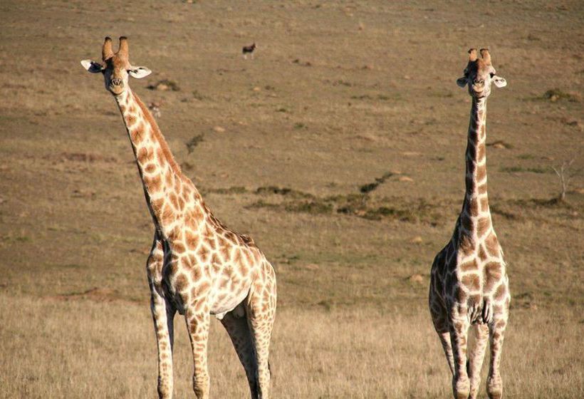 Hotel Kwantu Private Game Reserve 7