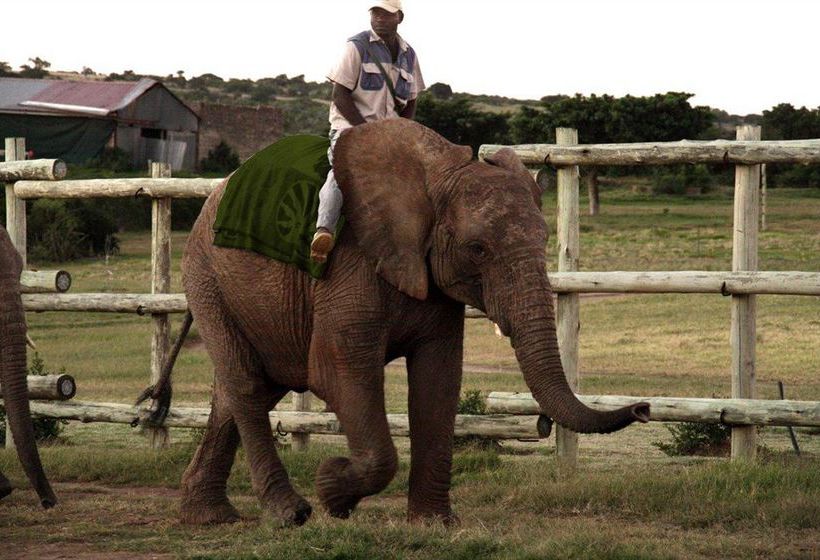 Hotel Kwantu Private Game Reserve 9