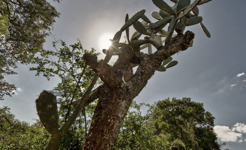 Hotel Pumba Private Game Reserve 18