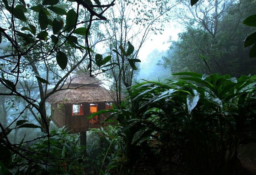 Greenwoods Resort 14