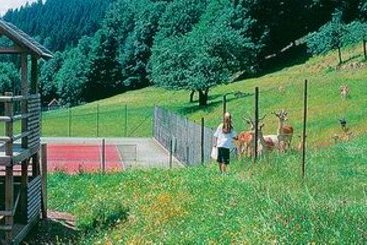 Naturparkhotel Adler 9