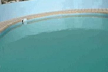 Hotel Golden Point Residency Andhra Pradesh